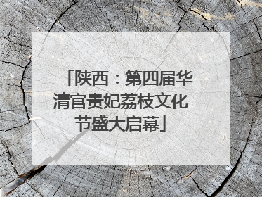 陕西：第四届华清宫贵妃荔枝文化节盛大启幕