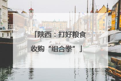 陕西：打好粮食收购“组合拳”