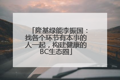隆基绿能李振国：找各个环节有本事的人一起，构建健康的BC生态圈