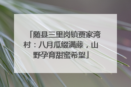 随县三里岗镇贾家湾村：八月瓜缀满藤，山野孕育甜蜜希望