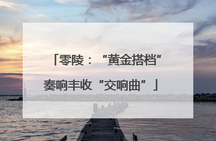 零陵：“黄金搭档”奏响丰收“交响曲”