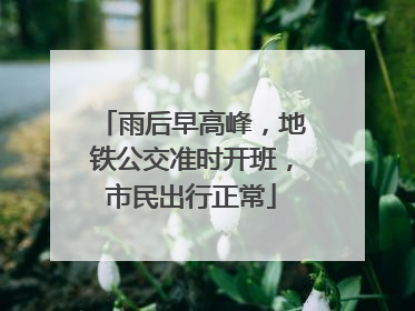 雨后早高峰，地铁公交准时开班，市民出行正常