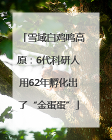 雪域白鸡鸣高原：6代科研人用62年孵化出了“金蛋蛋”