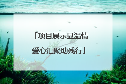 项目展示显温情 爱心汇聚助残行