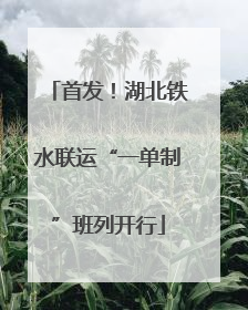首发！湖北铁水联运“一单制”班列开行