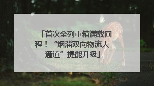 首次全列重箱满载回程！“烟淄双向物流大通道”提能升级