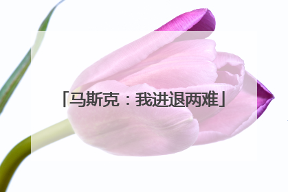 马斯克：我进退两难