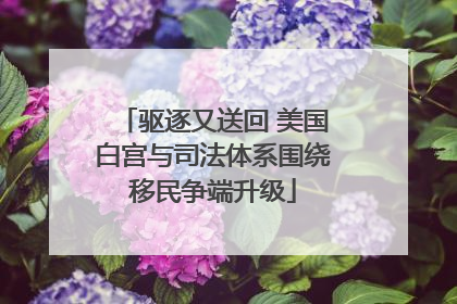 驱逐又送回 美国白宫与司法体系围绕移民争端升级