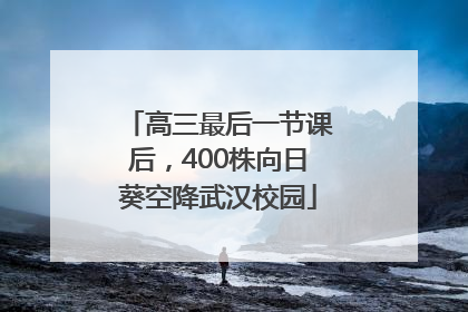 高三最后一节课后，400株向日葵空降武汉校园