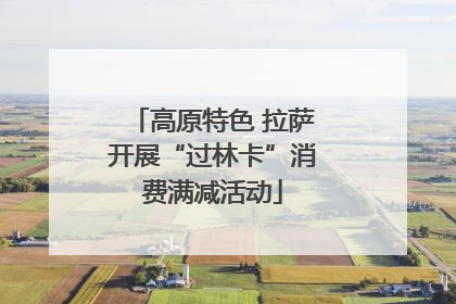 高原特色 拉萨开展“过林卡”消费满减活动