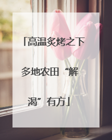 高温炙烤之下 多地农田“解渴”有方