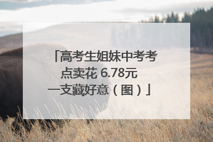 高考生姐妹中考考点卖花 6.78元一支藏好意（图）