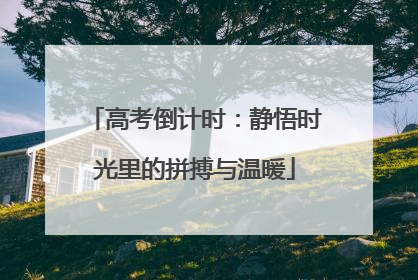 高考倒计时：静悟时光里的拼搏与温暖