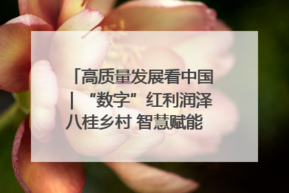 高质量发展看中国｜“数字”红利润泽八桂乡村 智慧赋能绘就振兴画卷