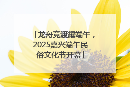 龙舟竞渡耀端午，2025嘉兴端午民俗文化节开幕