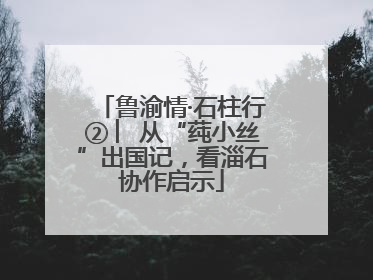 鲁渝情·石柱行② ︳从“莼小丝”出国记，看淄石协作启示