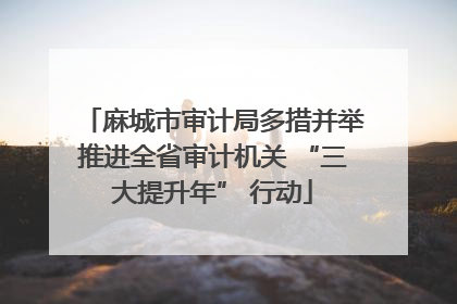 麻城市审计局多措并举推进全省审计机关 “三大提升年” 行动