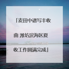 麦田中谱写丰收曲 潍坊滨海区夏收工作圆满完成