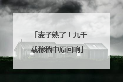 麦子熟了！九千载稼穑中原回响