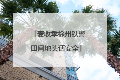 麦收季徐州铁警田间地头话安全
