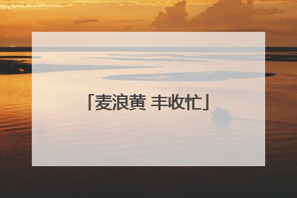 麦浪黄 丰收忙