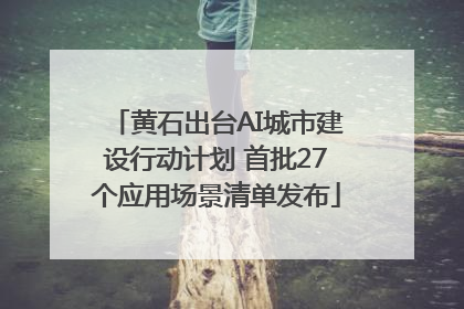 黄石出台AI城市建设行动计划 首批27个应用场景清单发布