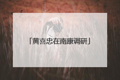黄喜忠在南康调研