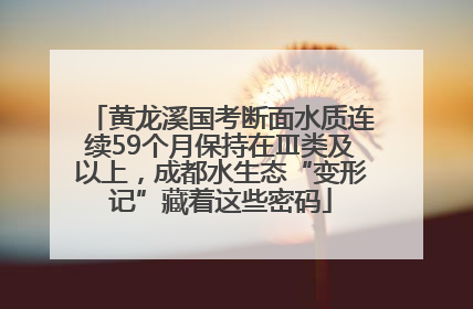 黄龙溪国考断面水质连续59个月保持在Ⅲ类及以上，成都水生态“变形记”藏着这些密码