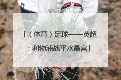 （体育）足球——英超：利物浦战平水晶宫