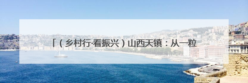 （乡村行·看振兴）山西天镇：从一粒种子到国际餐桌 出口富农促乡村振兴