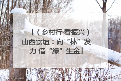 （乡村行·看振兴）山西襄垣：向“林”发力 借“绿”生金