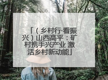 （乡村行·看振兴）山西高平：矿村携手兴产业 激活乡村新动能