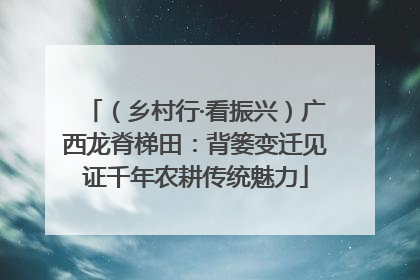 （乡村行·看振兴）广西龙脊梯田：背篓变迁见证千年农耕传统魅力