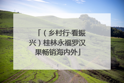 （乡村行·看振兴）桂林永福罗汉果畅销海内外