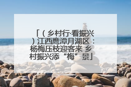 （乡村行·看振兴）江西鹰潭月湖区：杨梅压枝迎客来 乡村振兴添“梅”景