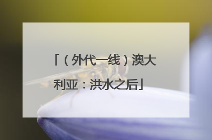（外代一线）澳大利亚：洪水之后