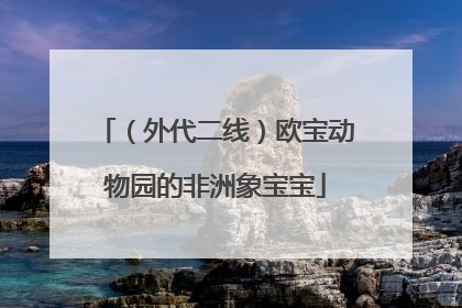 （外代二线）欧宝动物园的非洲象宝宝