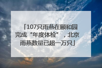 107只雨燕在颐和园完成“年度体检”，北京雨燕数量已超一万只