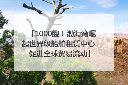 1000艘！渤海湾崛起世界级船舶租赁中心 促进全球贸易流动