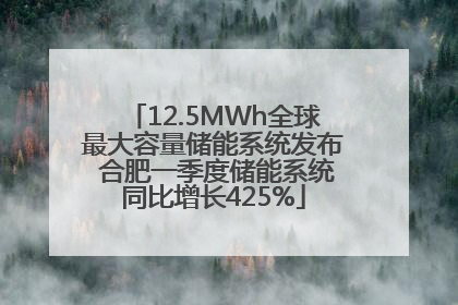 12.5MWh全球最大容量储能系统发布 合肥一季度储能系统同比增长425%