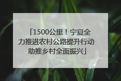 1500公里！宁夏全力推进农村公路提升行动 助推乡村全面振兴
