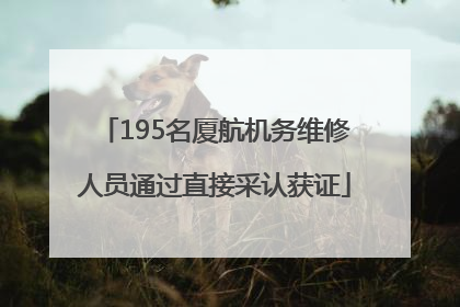 195名厦航机务维修人员通过直接采认获证