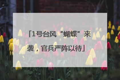 1号台风“蝴蝶”来袭，官兵严阵以待