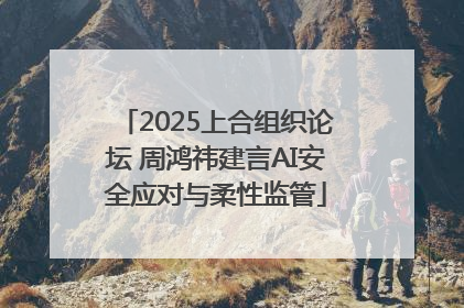 2025上合组织论坛 周鸿祎建言AI安全应对与柔性监管