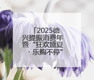 2025德兴提振消费年暨“狂欢盛夏・乐购不停”消费季正式启动（图）