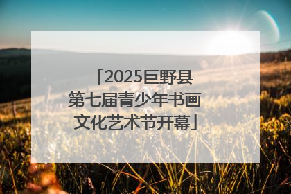 2025巨野县第七届青少年书画文化艺术节开幕