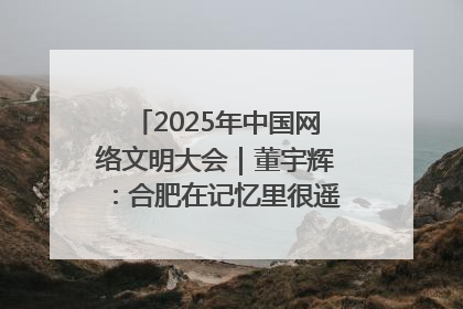 2025年中国网络文明大会｜董宇辉：合肥在记忆里很遥远也很亲切