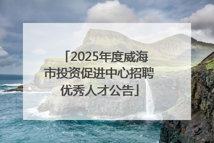 2025年度威海市投资促进中心招聘优秀人才公告