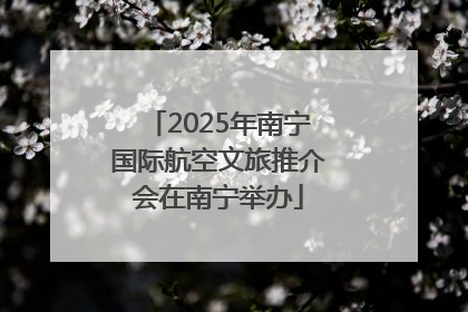 2025年南宁国际航空文旅推介会在南宁举办