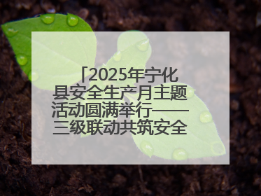 2025年宁化县安全生产月主题活动圆满举行——三级联动共筑安全防线 探索老区安全发展新路径